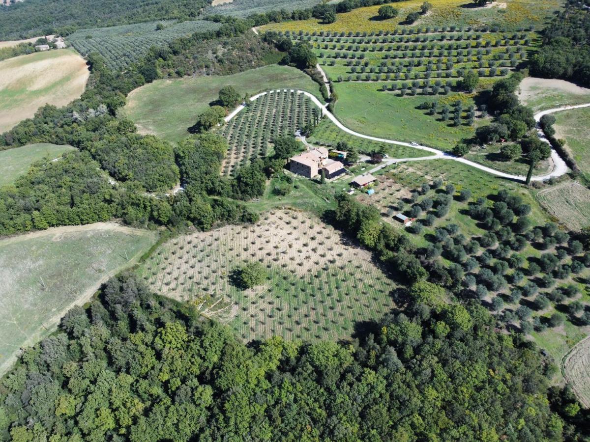 Villa La Moiana 1756 Castiglione dʼOrcia Exterior foto